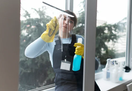 Nettoyage de vitres intérieures et extérieures à Thilouze